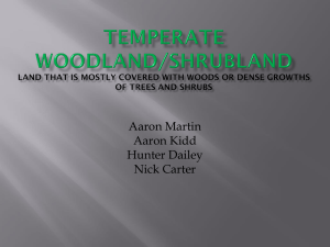 Temperate Woodland/Shrubland