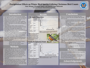 Precipitation Effects on Winter Bird Species Utilizing Christmas Bird