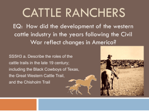 Cattle ranchers PPT