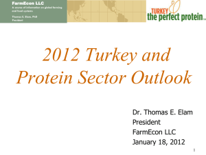 U.S. Turkey Outlook - 201