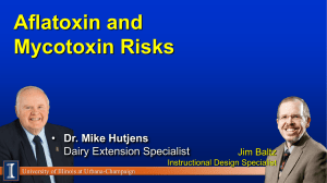 Aflatoxin and Mycotoxin Risks - University of Illinois Extension
