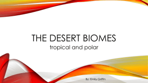 Emily Griffin desert biomes