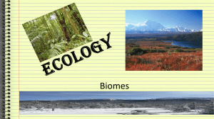 6th grade Biomes - Tundra and Taiga