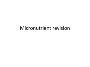Micronutrient revision