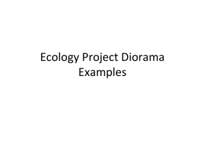 Ecology Project Diorama Examples - heller-biology
