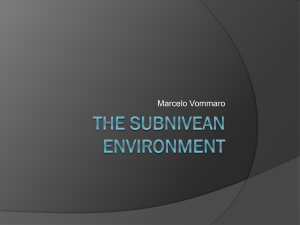 The Subnivean Environment