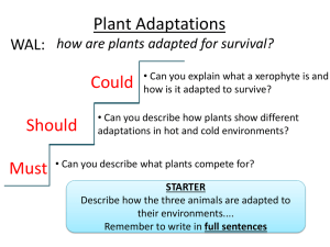 B1.14_(&B1.16)_Adaptations_in_Plants