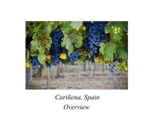 Epic Wines Spain Edu PPT
