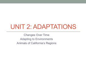 Unit 2: Adaptations