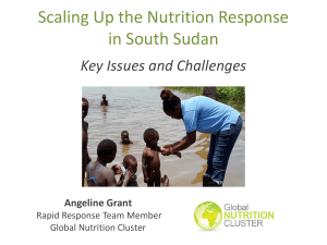 South Sudan - Nutrition Cluster