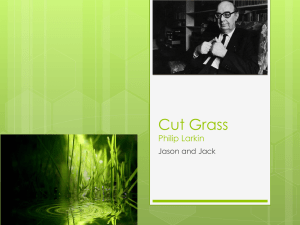 Cut Grass Presentation