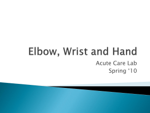Elbow, Wrist and Hand - Athletic Taping and Bracing