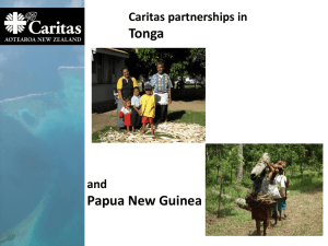 Caritas partnerships in