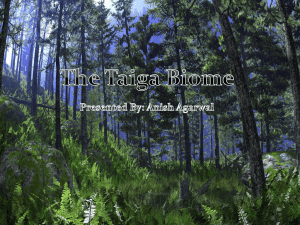The Taiga Biome Presented By: Anish Agarwal