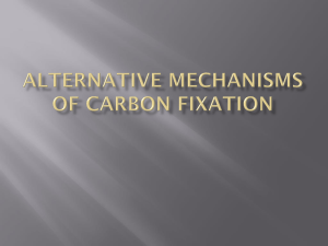 Alternative Mechanisms of Carbon Fixation