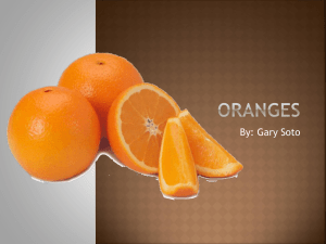 Lesson 26 - Oranges