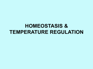 HOMEOSTASIS & TEMPERATURE REGULATION