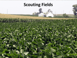 02 Basics of Scouting - Integrated Pest Management