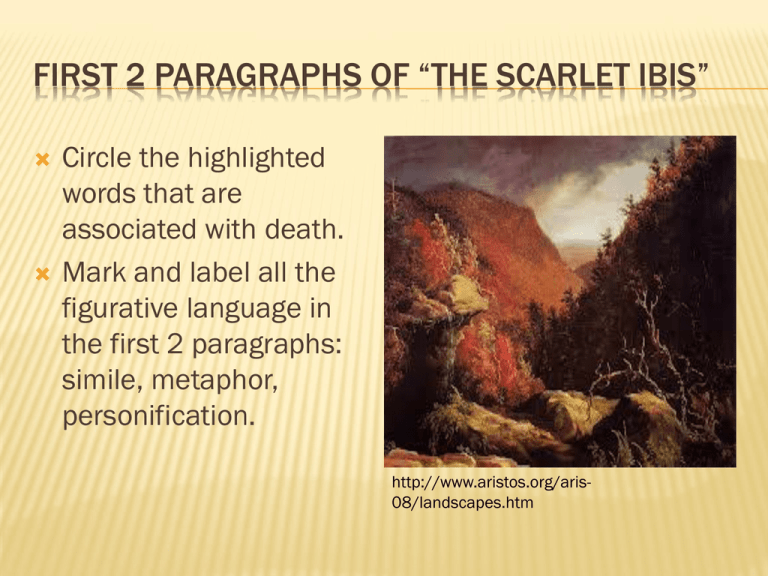 the scarlet ibis essays