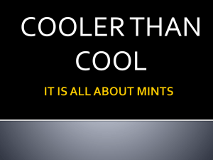 Cooler Than Cool: It`s All About Mints