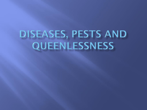 Diseases, Pests and queenlessness