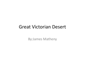 The Great Victorian Desert!