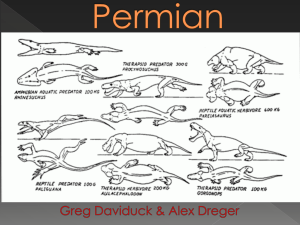 Permian Period - Geology12-7