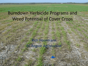 Burndown Herbicide Programs and Weed Potential