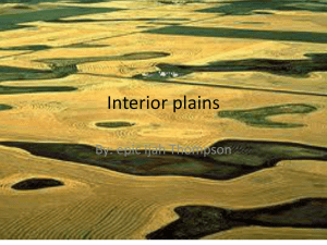 Ijah Interior Plains