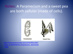 Notes: A Paramecium and a sweet pea are both cellular (made of