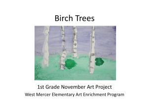 1- November Birch Trees Powerpoint