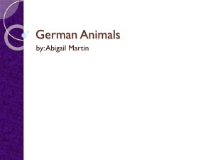 Germany animals