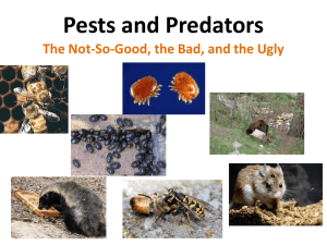 Pests and Predators by Ellen Miller
