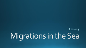 L5 - Migrations in the Sea