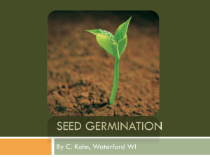 5A Seed Germination