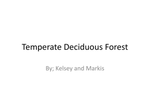 Temperate Deciduous Forest Part 2