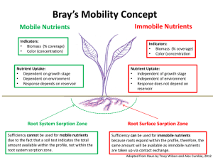 Bray`s Mobility Concept (Tracy Wilson, Alex Cumbie)