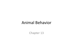 Animal Behavior Ch 13 - Stephanie Dietterle Webpage