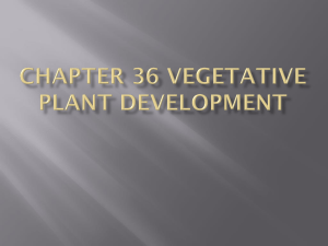 Chapter 36 Vegetative plant development