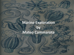 Marine Exploration by Mateo Cammarota Snorkeling is one of the