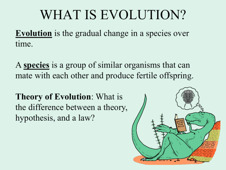 Theory Of Evolution