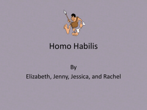 Homo Habilis - Comcast.net