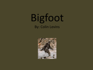 Bigfoot - HollenbeckTech