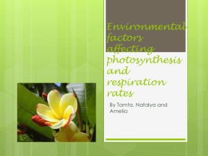Environmental factors affecting photosynthesis and respiration rates