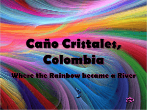 Caño_Cristales__Colombia