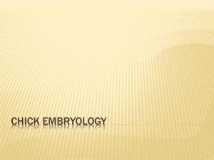 embryology 2 - NorthMacAgScience