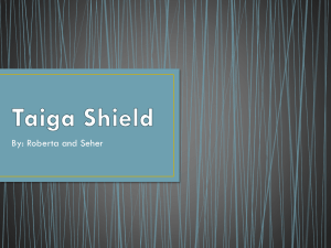 Taiga Shield