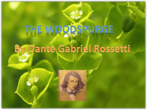 The Woodspurge power point
