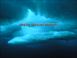 Arctic Ocean Biome