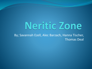 Neritic Zone- Thomas Group